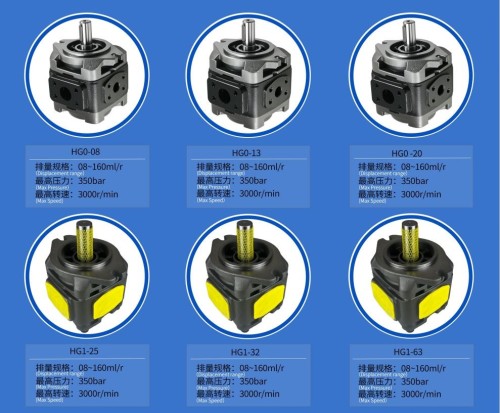 HG Series Heavy-duty gear pumps